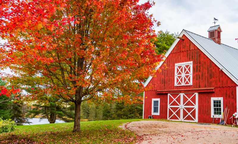 Barn Remodeling in Overland Park, KS