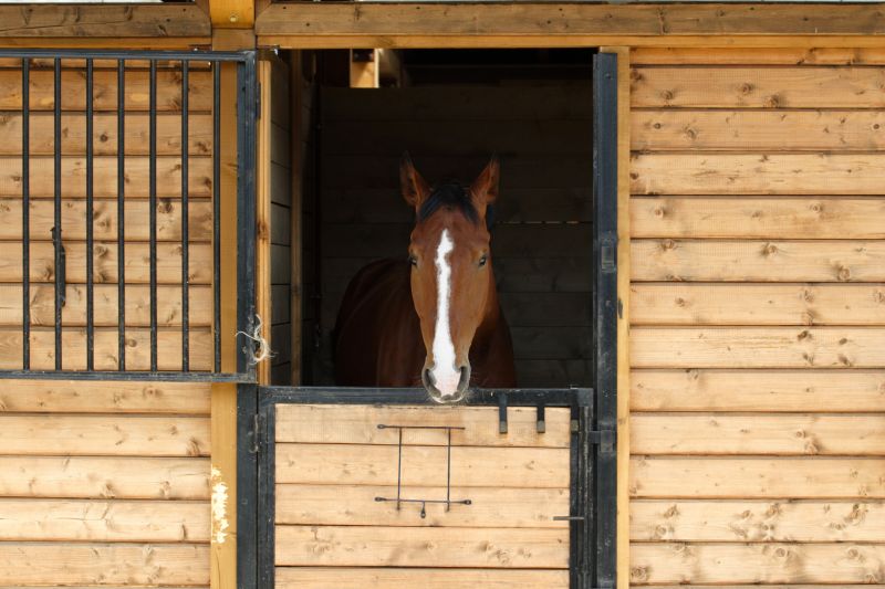 Horse Stall Repair in Kansas City, KS