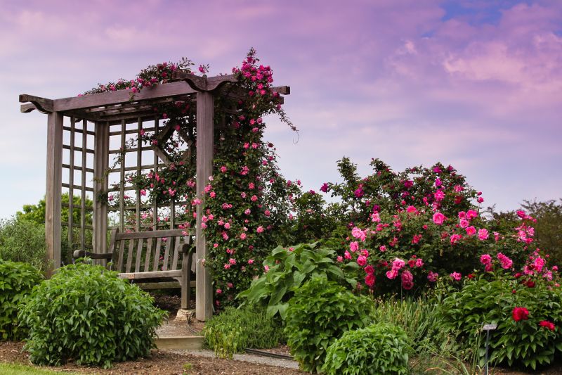 Rose Trellis Installation in Conroe, TX