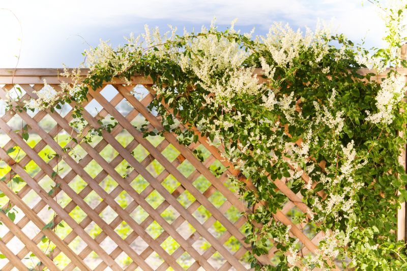 Wood Trellis Installation in Wilmington, NC